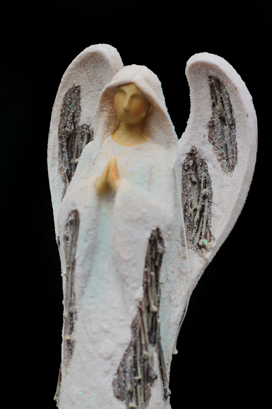 Angel by Ray Holmberg